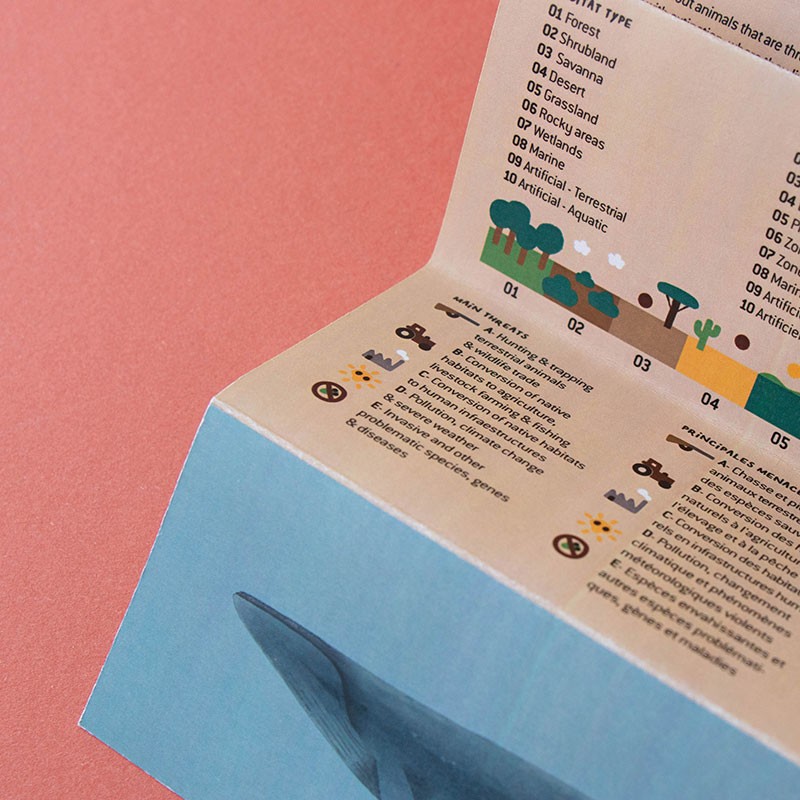 <p>conocer animales en peligro de extinción</p>